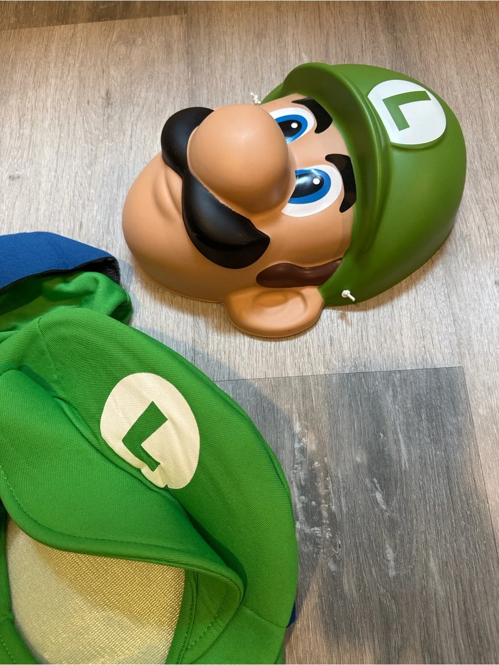 Mario/Luigi costume set